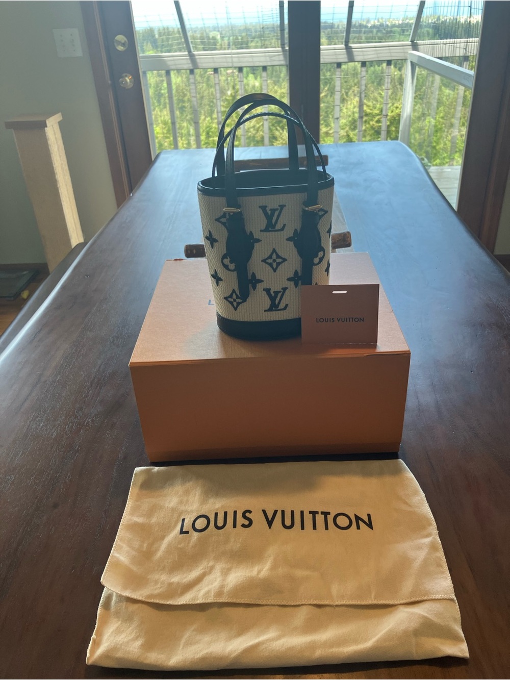 Louis Vuitton  by the pool nano Bucket tote Cream and Black like new! - Picture 9 of 13